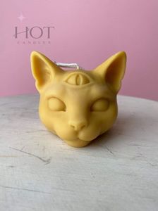 Sphynx Kitty caramel