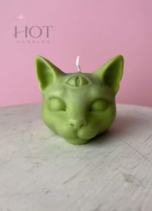Sphynx Kitty green