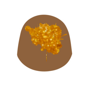 All: Almond Praline Bonbon