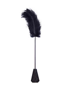 Bondage: KINKI OSTRICH FEATHER TICKLER