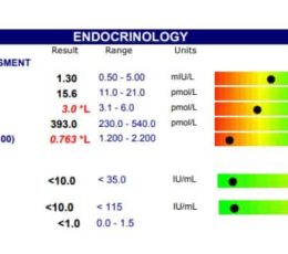 Organic Acids Metabolomic Mapping Test House of Health