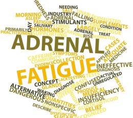 Products: Microbiome Essentials Stool Test of Your Gut Microbes