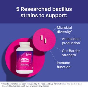 Products: MegaSporeBiotic