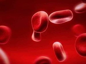 Products: Holman Omega 3 Blood Test House of Health