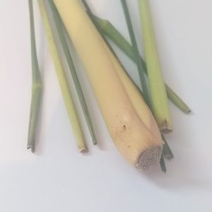 Lemongrass - 10ml House Of Oils