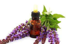 Clary Sage - 10ml House Of Oils