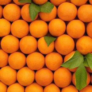 Products: Orange - 10ml House Of Oils