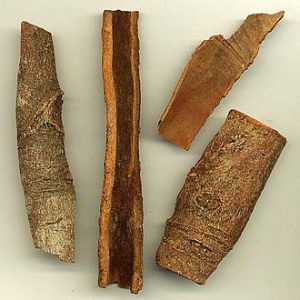 Products: Cassia - 10ml House Of Oils