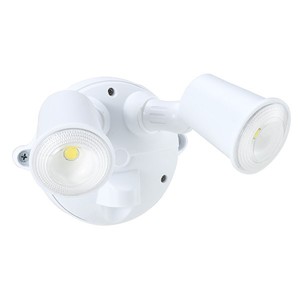 LED Spotlight 2 x 10W (White) Security Lighting