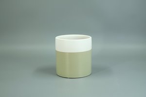 Neve - Sage - 12cm - HoyaHoya