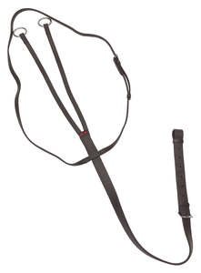 Racing Horse: Zilco Training running Martingale