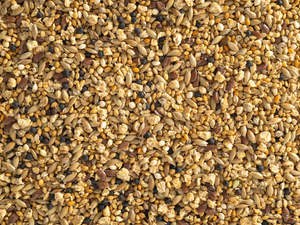 New Collection: Topflite Quail Mix 10kg