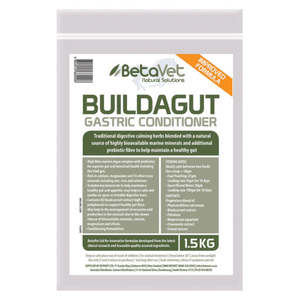 New Collection: Buildagut Gastric Conditioner
