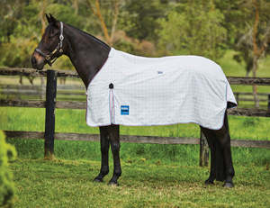 New Collection: Kool Coat Cotton Rug