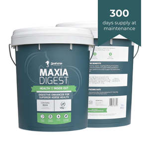 New Collection: Maxia Digest 12KG