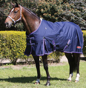 Zilco Explorer 200 Rug