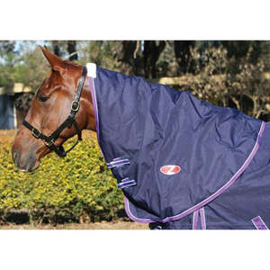 Zilco Explorer 200 Neck Rug