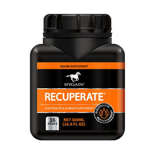 New Collection: Hygain Recuperate 500ML