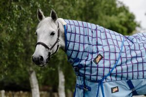 New Collection: Flair Wanaka 220g Neck Rug