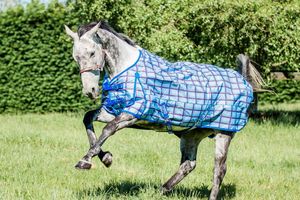Flair Wanaka 220g Rug