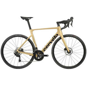 Bicycle: 2023 Soloist 105 Gold Dust