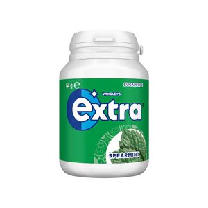 Extra Bottle - Spearmint Gum 64g