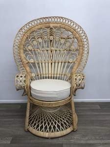 Party Equipment: Child Peacock Chair