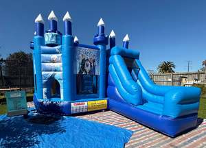 Bouncy Castles: Frozen Bouncy Castle