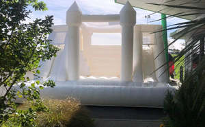 Bouncy Castles: Double Slide Bounce House