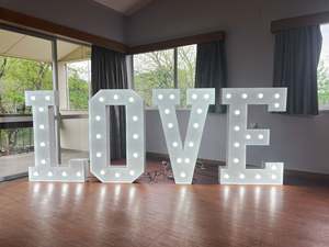 Lights: LOVE Marquee Lights