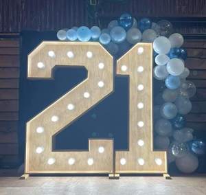 Giant 21 Lights For Sale