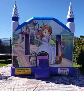 Sold Princess Bouncy Castle