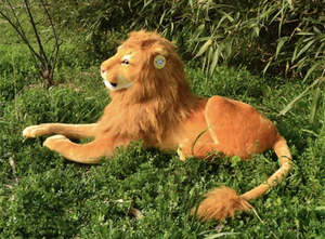 Kid S Party Equipment: Lion animal