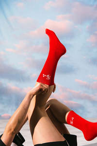 Mens Accessories: HFR RIB SOCK/STEINLAGER 3 PACK MULTI