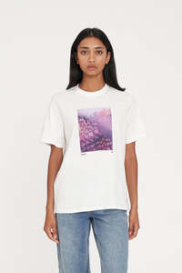 CLASSIC TEE 170/ROSE TINTED CHALK