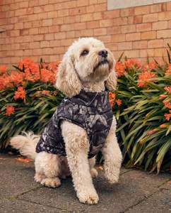 Accessories: HUFFER PUFFER DOG JACKET WOODHILL/BLK