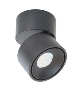 Downlights: DLEK933 Large 1,200lm 13W