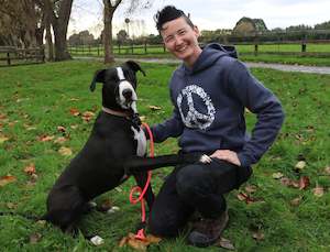 Pet Care Treats: Halti Headcollar