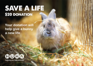 Home: Gift of Life Card- Give a Bunny a New Life