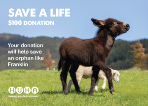 Home: Gift of Life Card- Help Save an Orphan