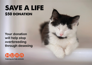 Home: Gift Of Life Card- Desexing