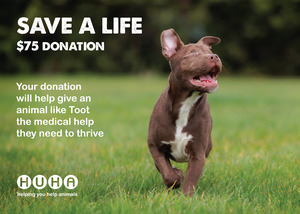 Home: Gift of Life Card- Help with Medical Costs