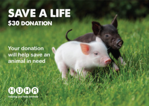 Home: Gift of Life Card- Help with Rescue & Care Costs