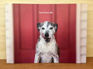 Books Gifts: The Perfect Mix- by Jo Moore