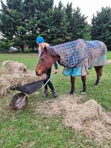 Huhas Wish List: Wishlit- Hay Bale