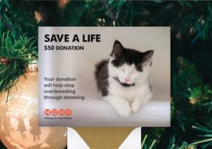 Christmas E-Card $50 Save a Life Donation