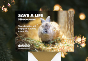 Home: Christmas E-Card $20 Gift of Life Donation