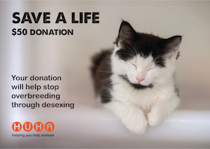 Home: Gift Of Life Card- Desexing