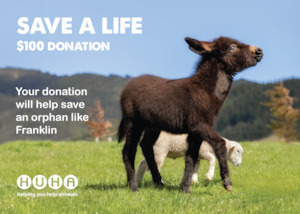 Gift of Life Card- Help Save an Orphan