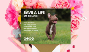 Gift Of Life E Cards: E-Card $75 Gift of Life Donation